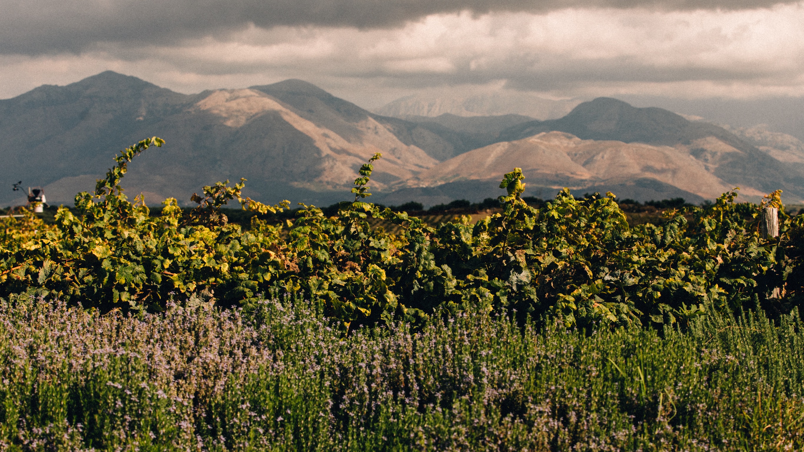 019 MBO Minos Art Beach