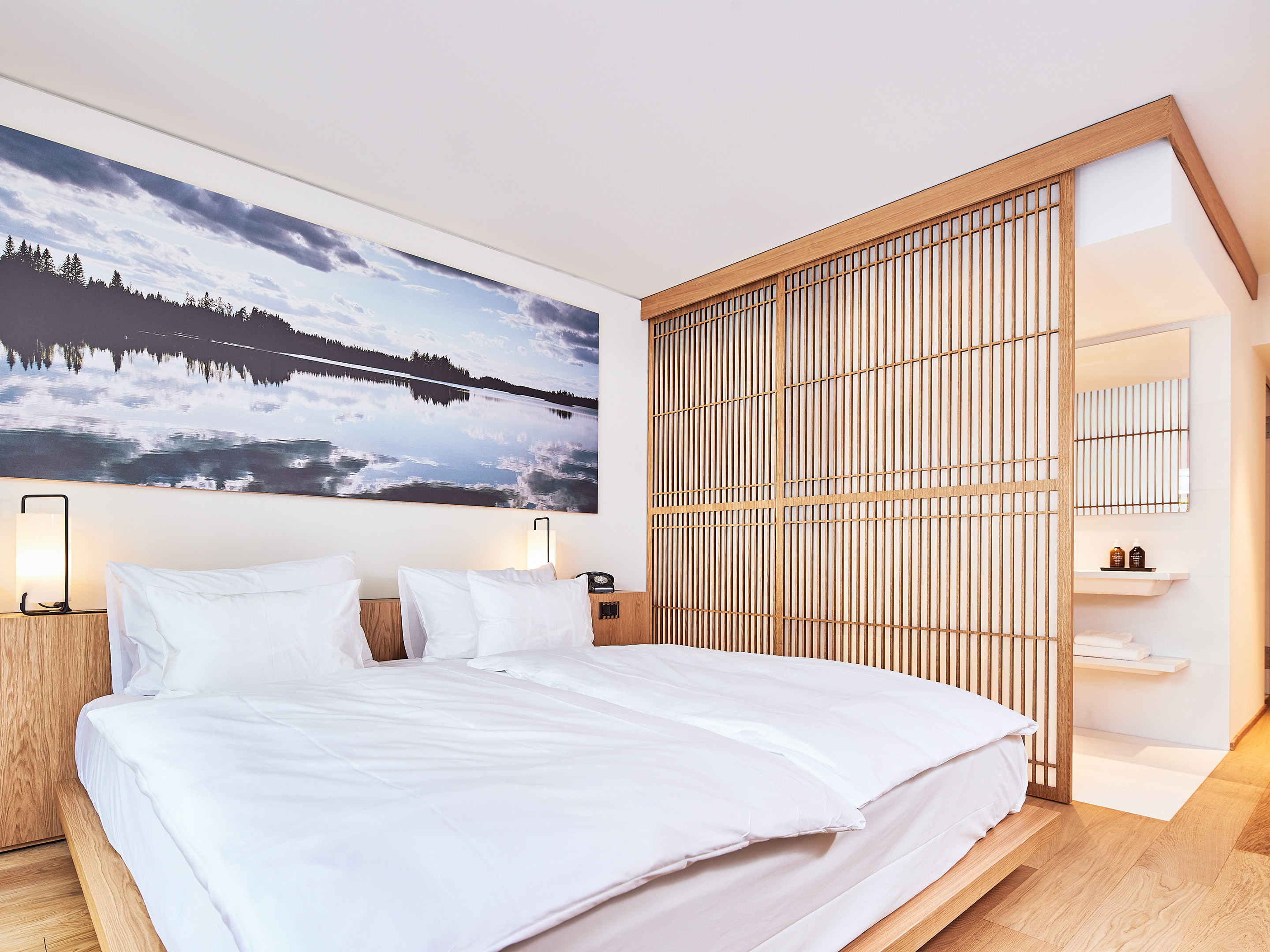 Art House Basel Junior Suite With Terrace R 03