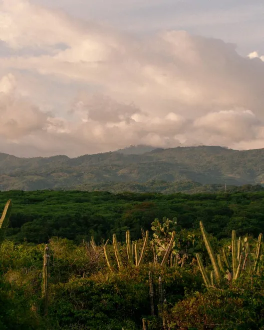 001 Mexico II Puerto Escondido Header