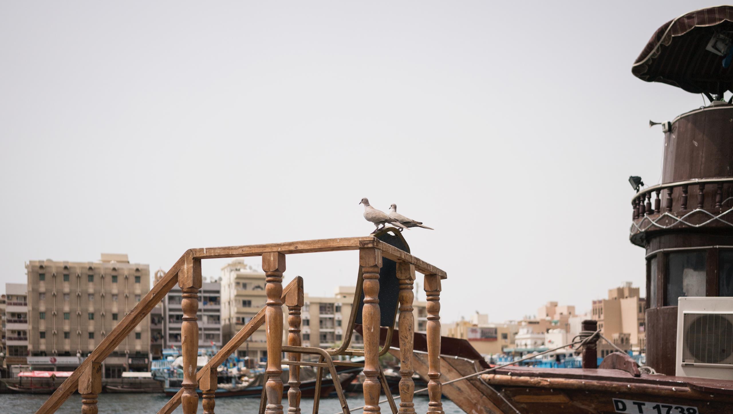 Form Hotel Dubai Theme Box 1