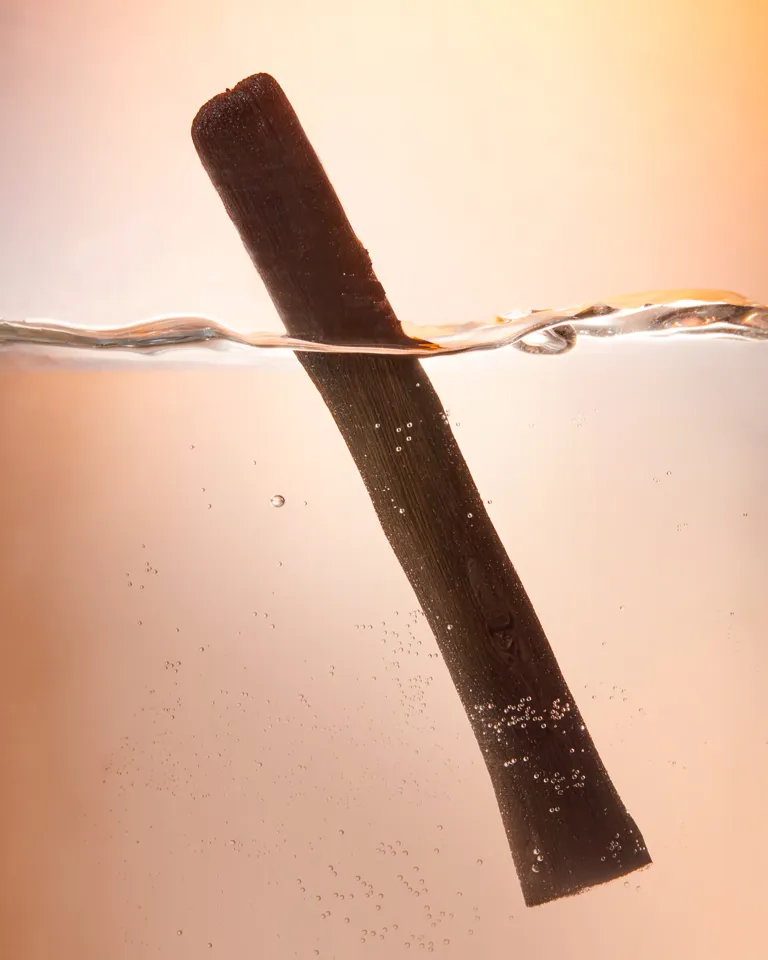 003 Travel Gift Guide Charcoal Water Purification