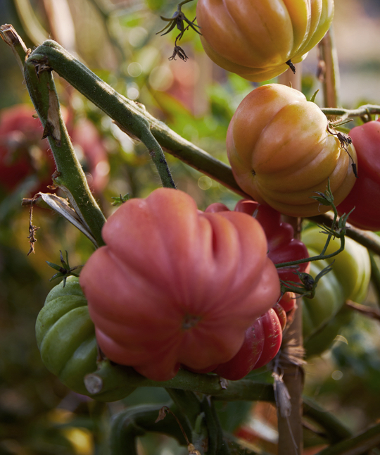 07 How To Travel In 2021