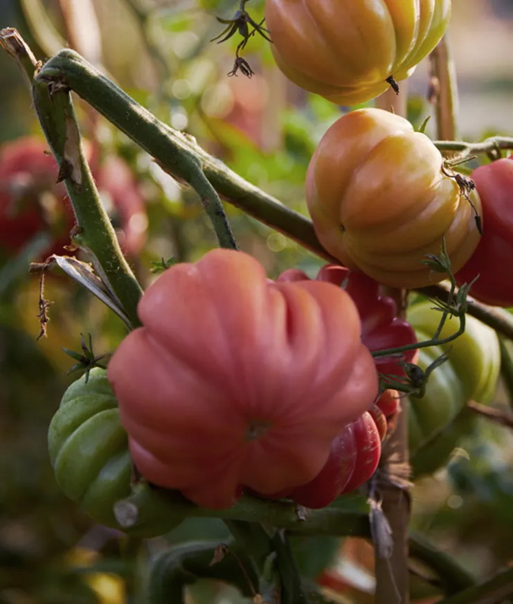 07 How To Travel In 2021