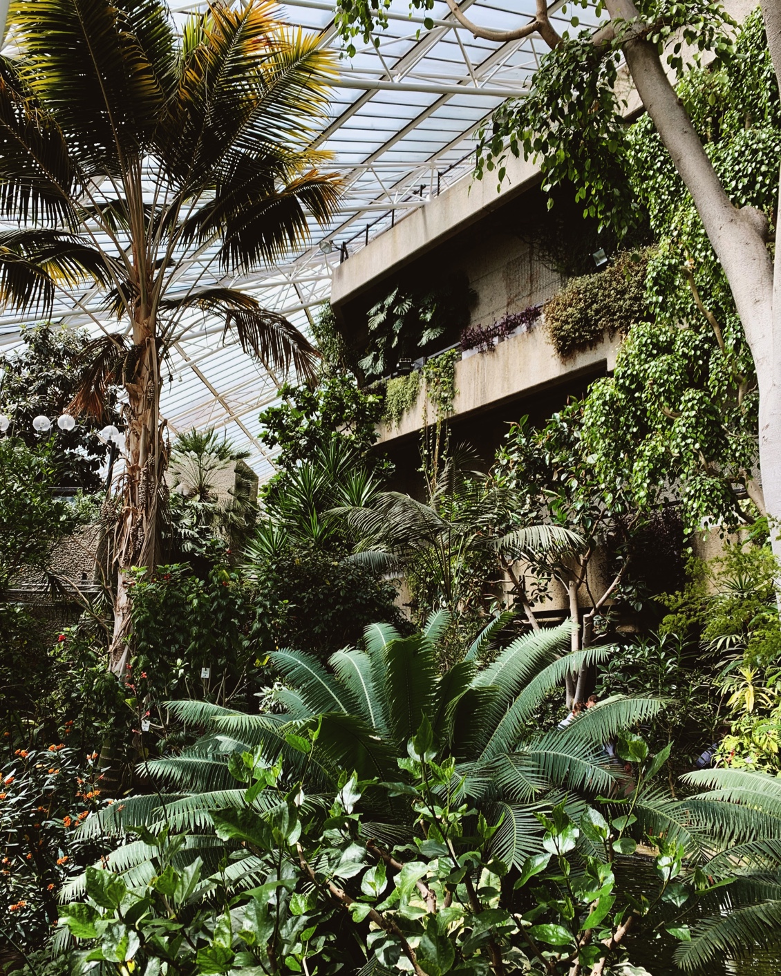 11 Destination London Barbican