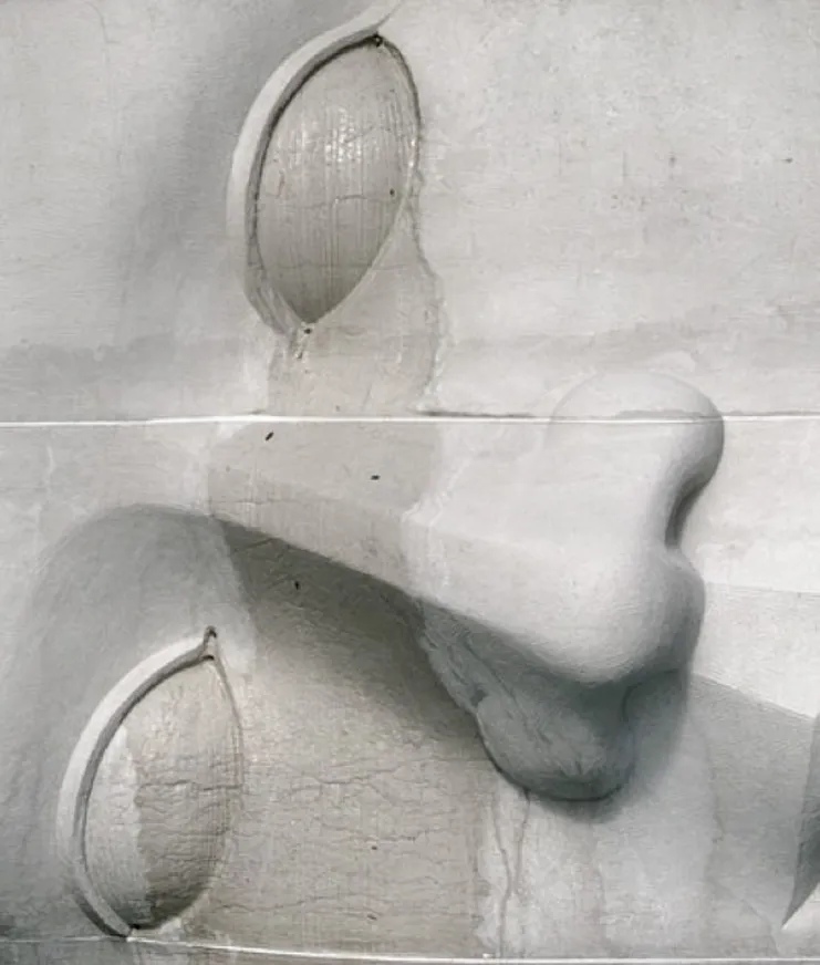 DH Japan Bullet Train 06