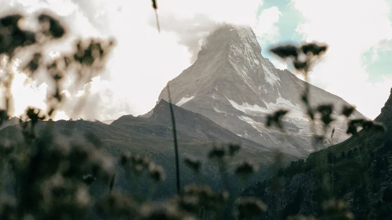 BP Walking Meditation 01