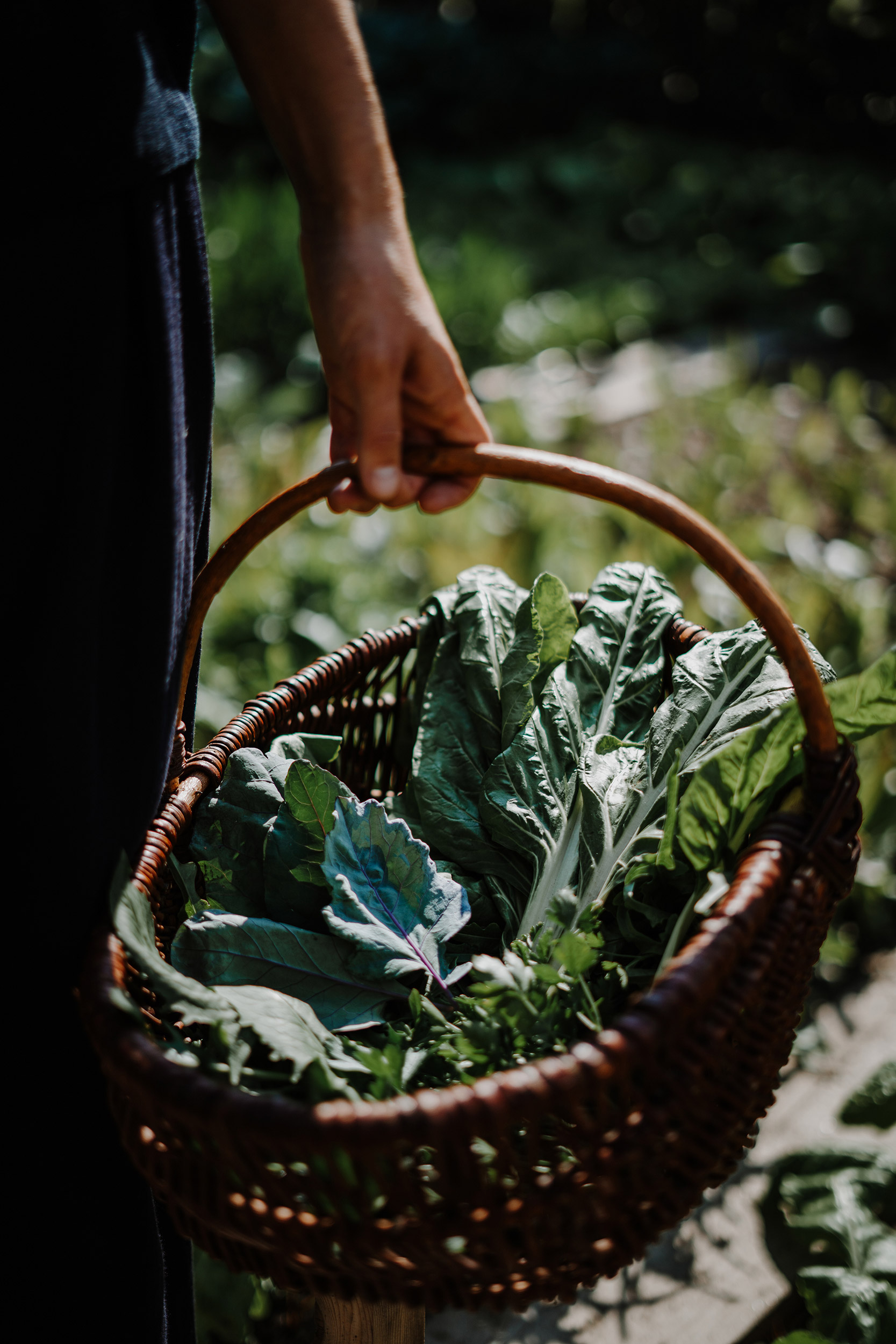 G 28 Hotel Schwarzschmied