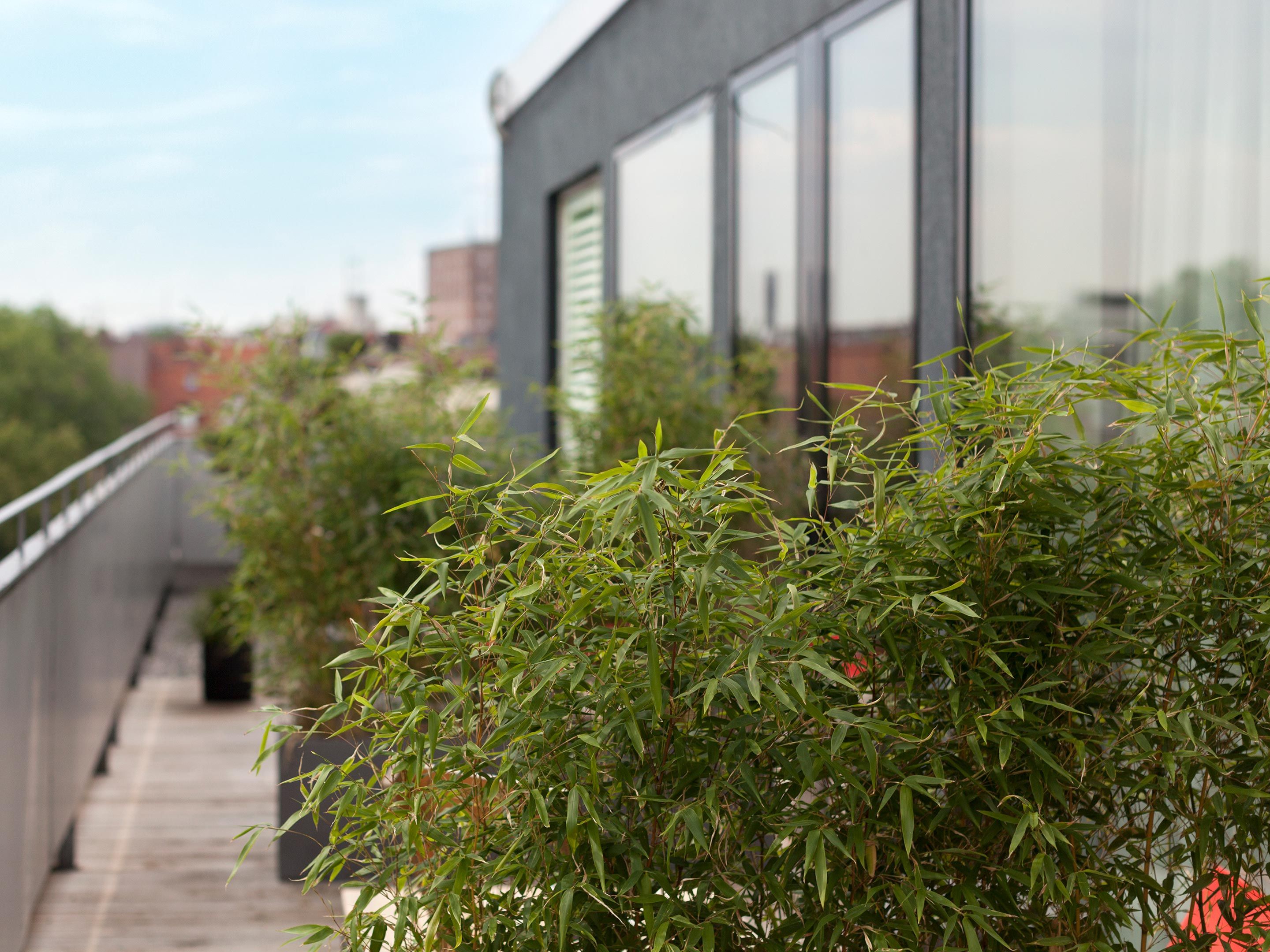 Flushing Meadows Smart Penthouse 