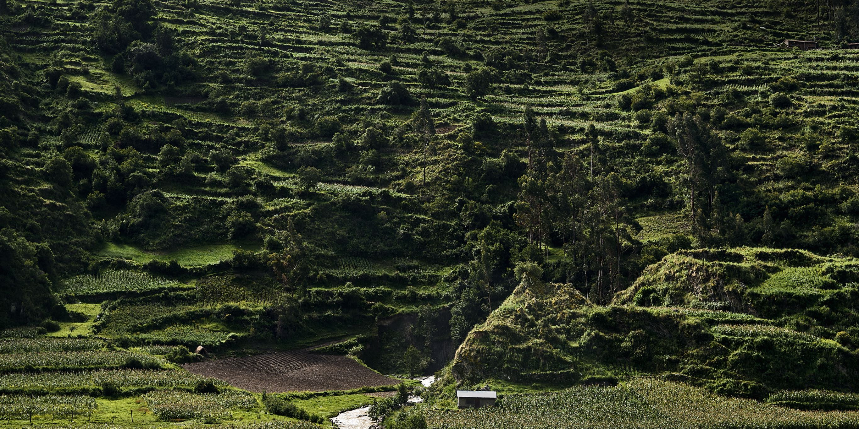 Pachamama's Land Part I 001