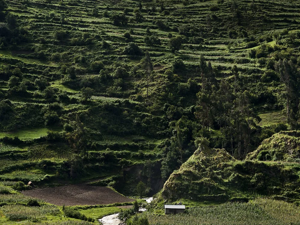 Pachamama's Land Part I 001