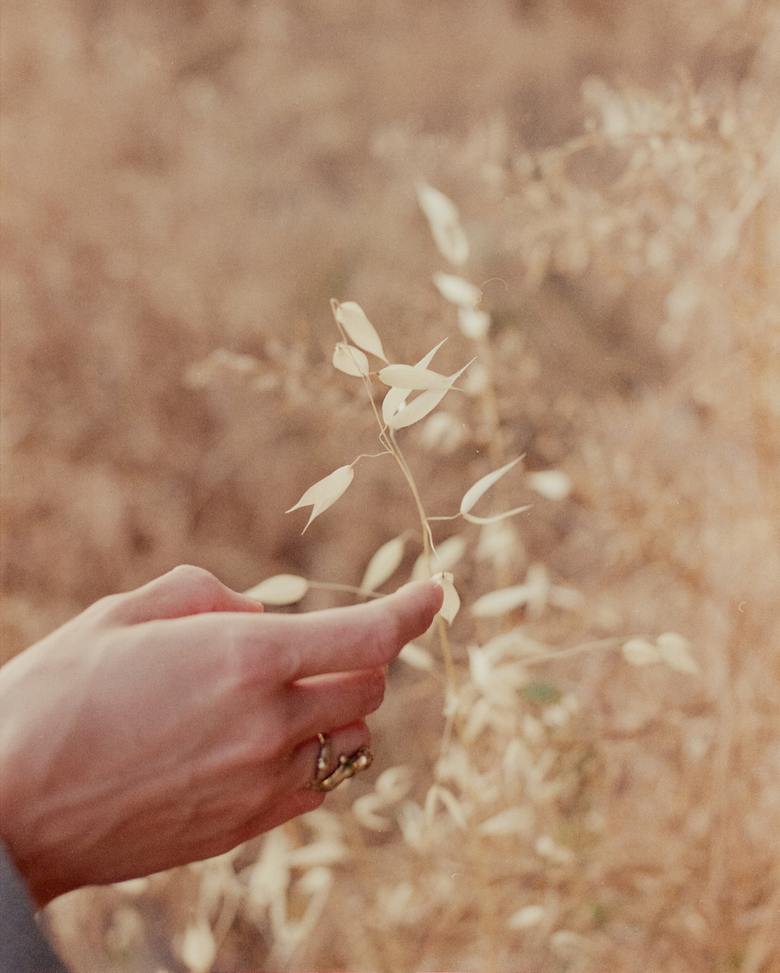 07 TGT Katie Mcknoulty