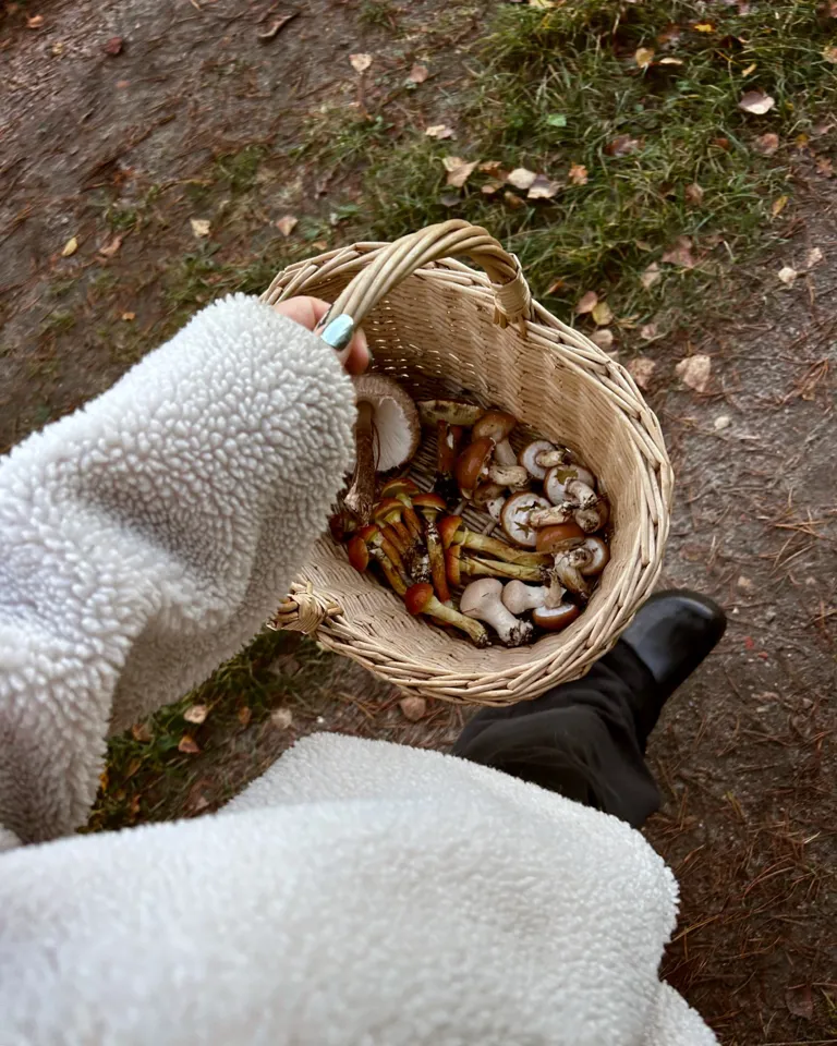 Journal Article Autumn 2023 10