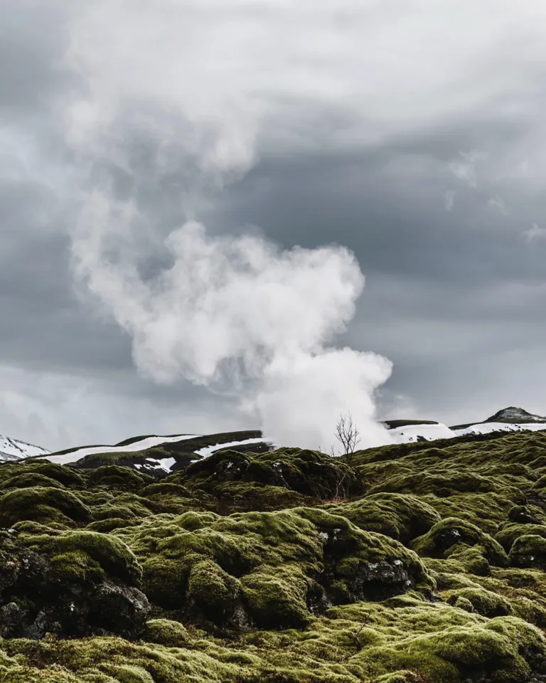 029 Foggy Destinations BP