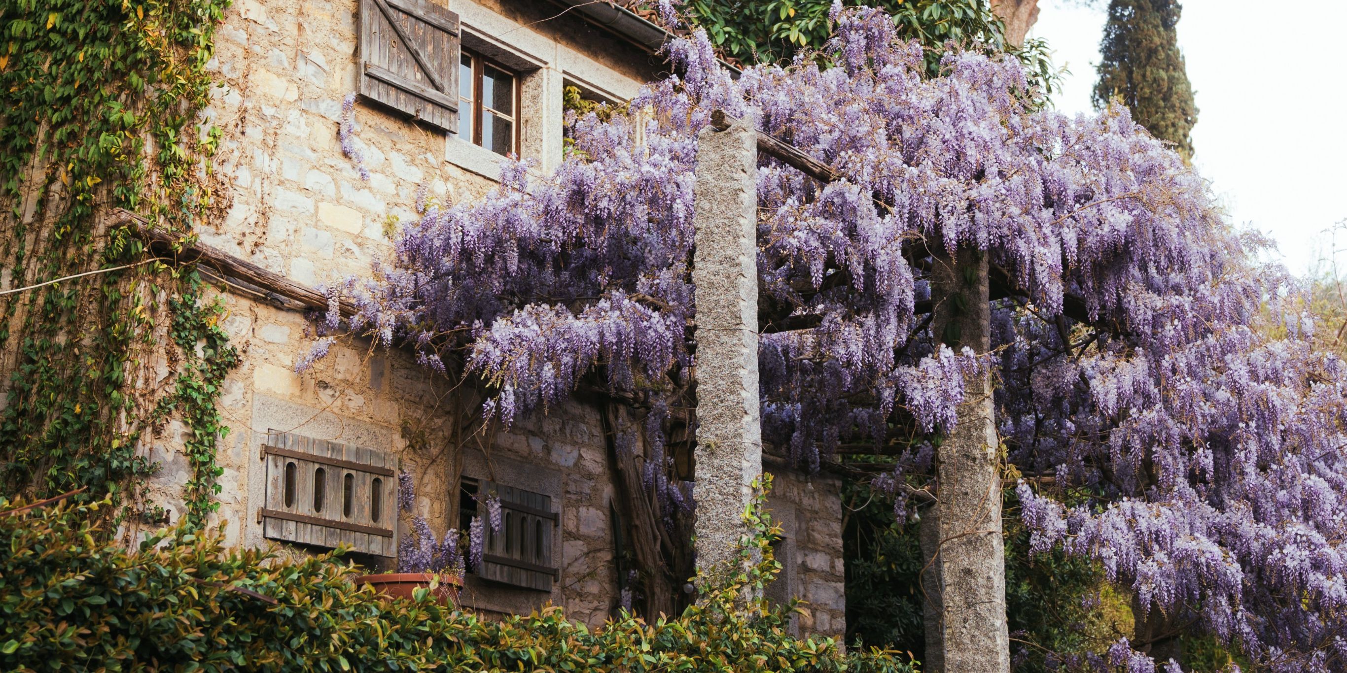 01 DH Flower Hot Spots In Spring KV