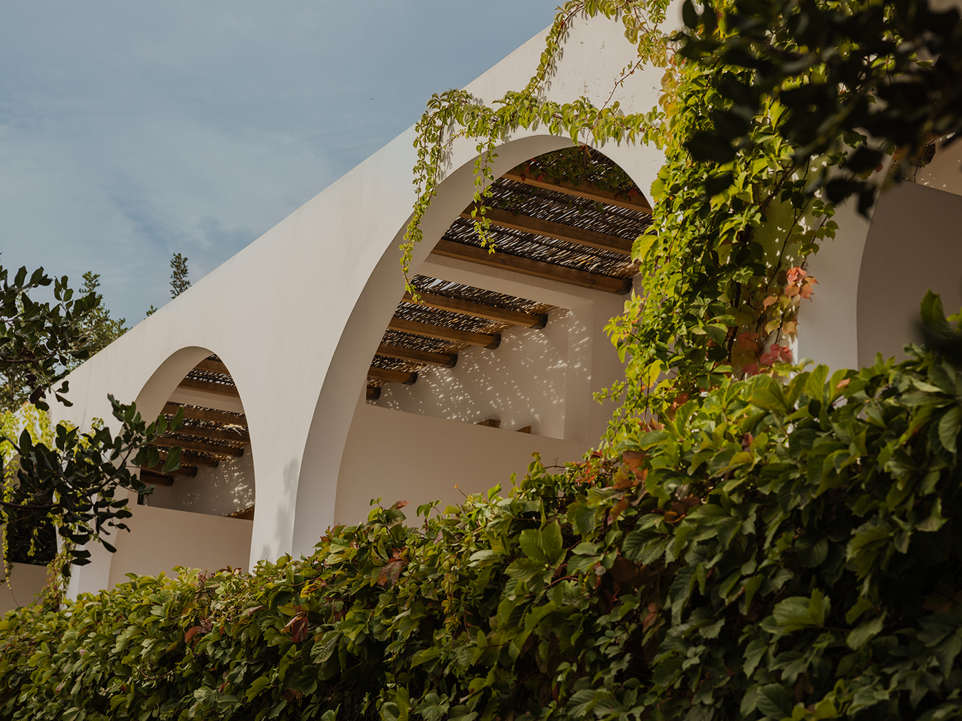 Main Building Nature Junior Suite R 06