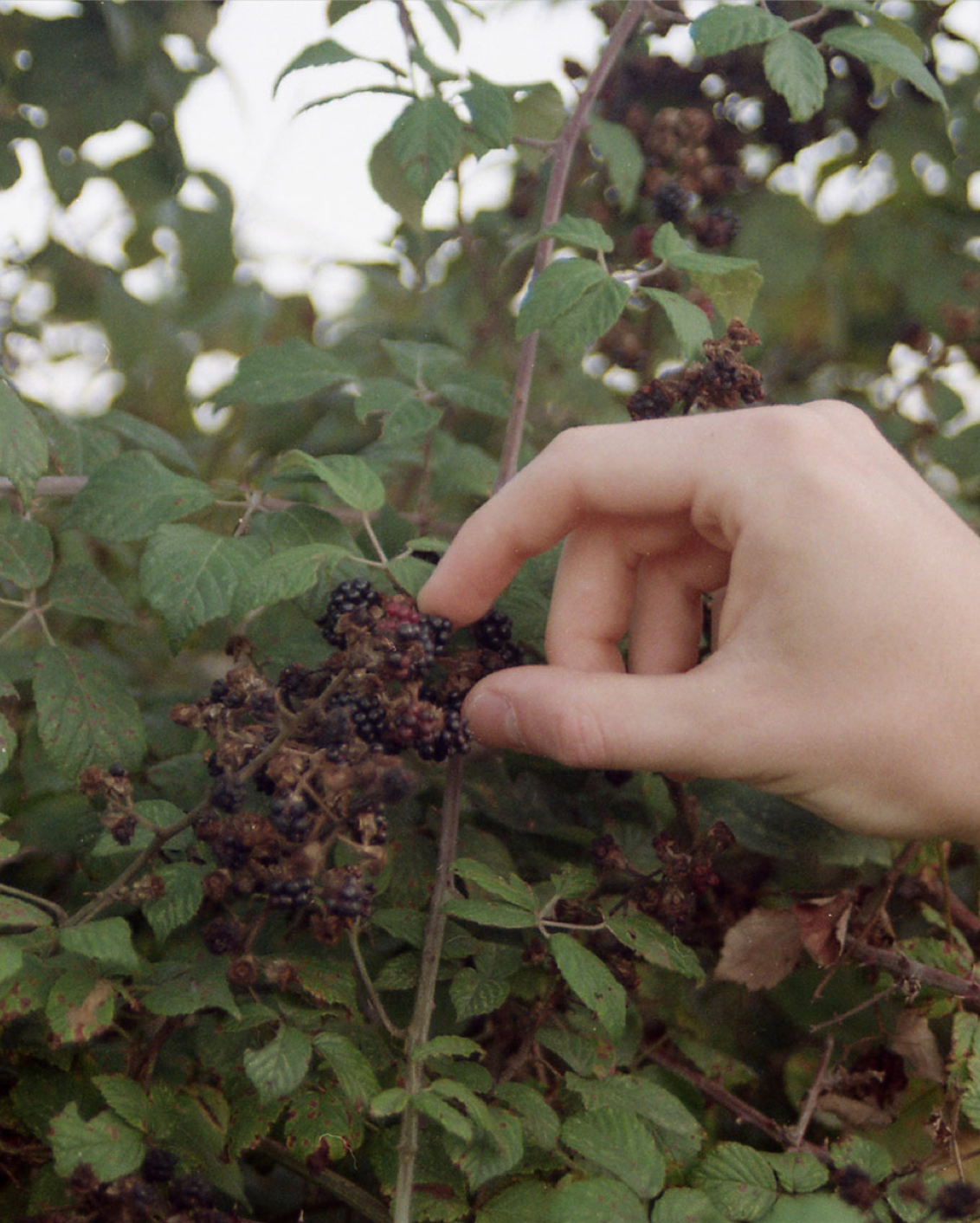 08C TGT Katie Mcknoulty