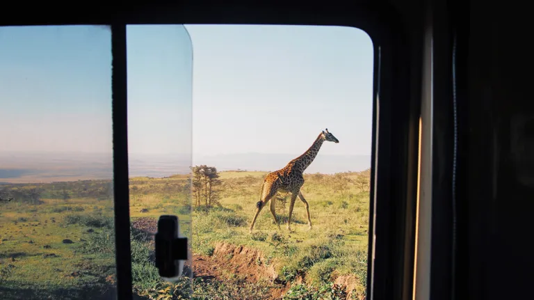 12 Trippin Ethical Ecotourism Safari