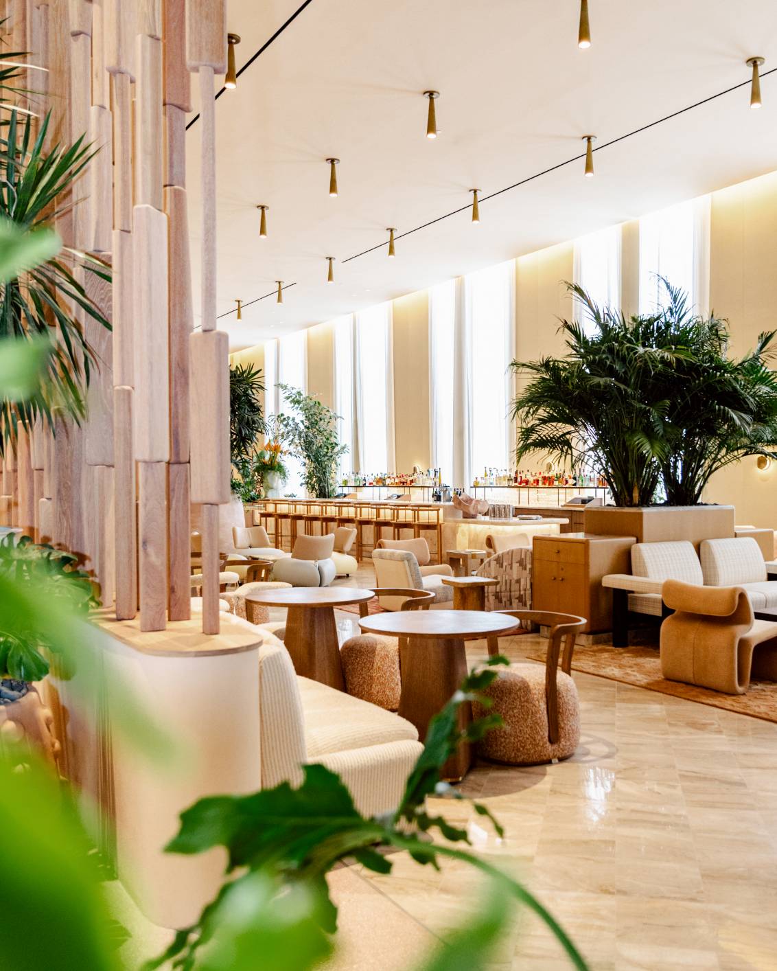 Shelborne By Proper Theme Box 01 Food And Drink 01