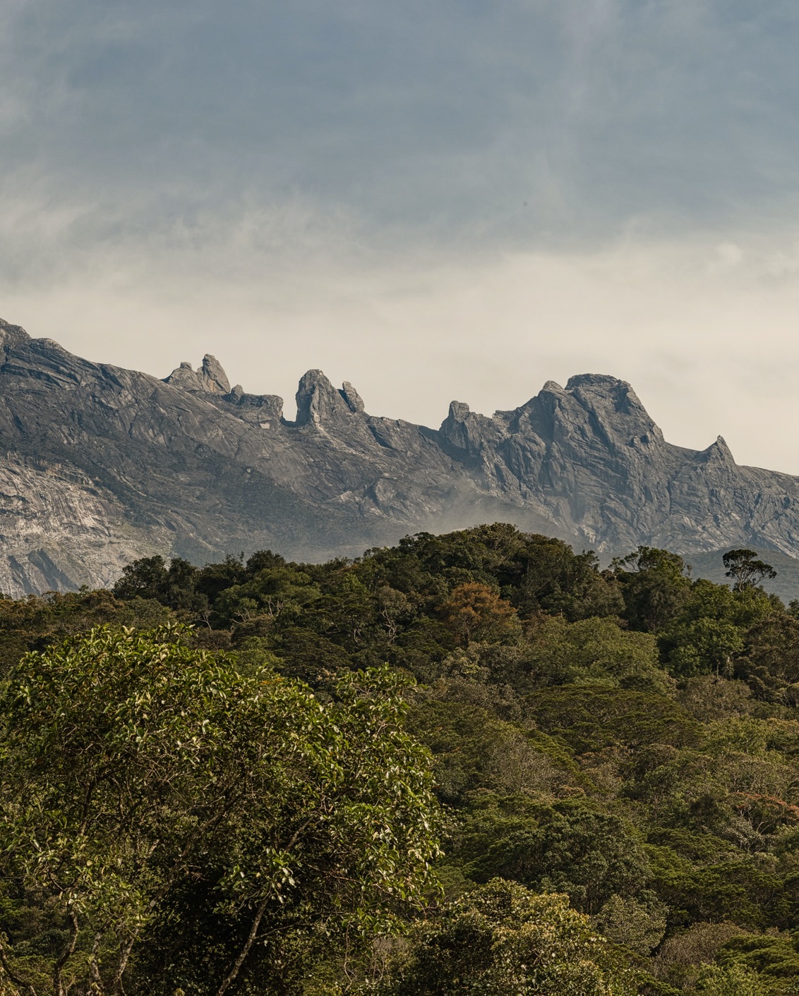 014 Where To Go 2022 The Luma (2)