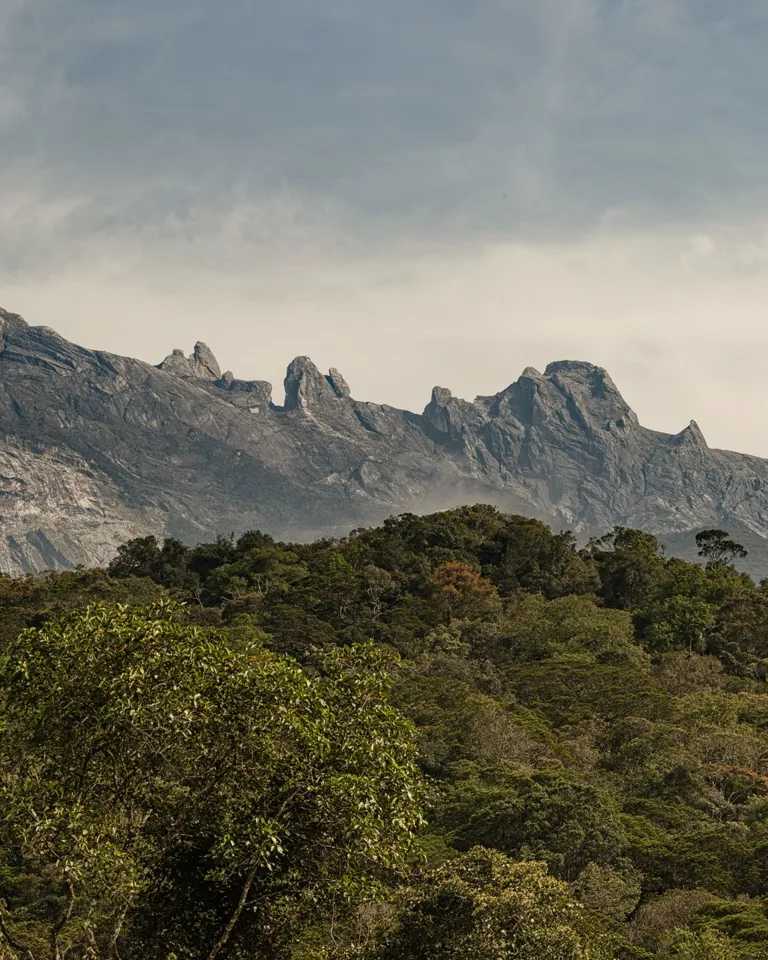 014 Where To Go 2022 The Luma (2)