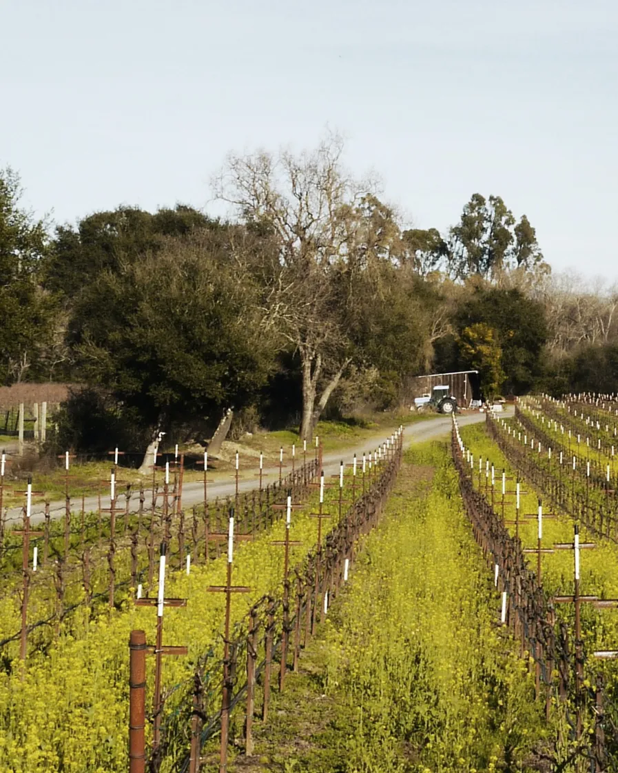 Sustainable Hotel Harmon Guest House 01