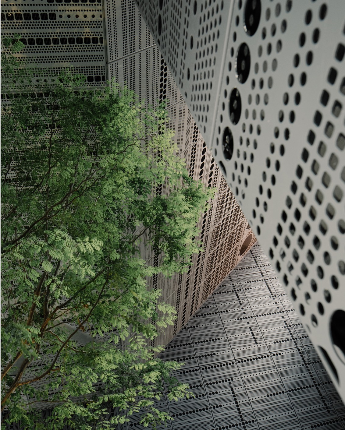 DH Originals Richard Hassell 10