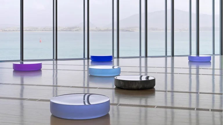 12 Art Exhibitions 24 Ronihorn