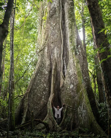 11 Trippin Ethical Ecotourism Jungle Tree