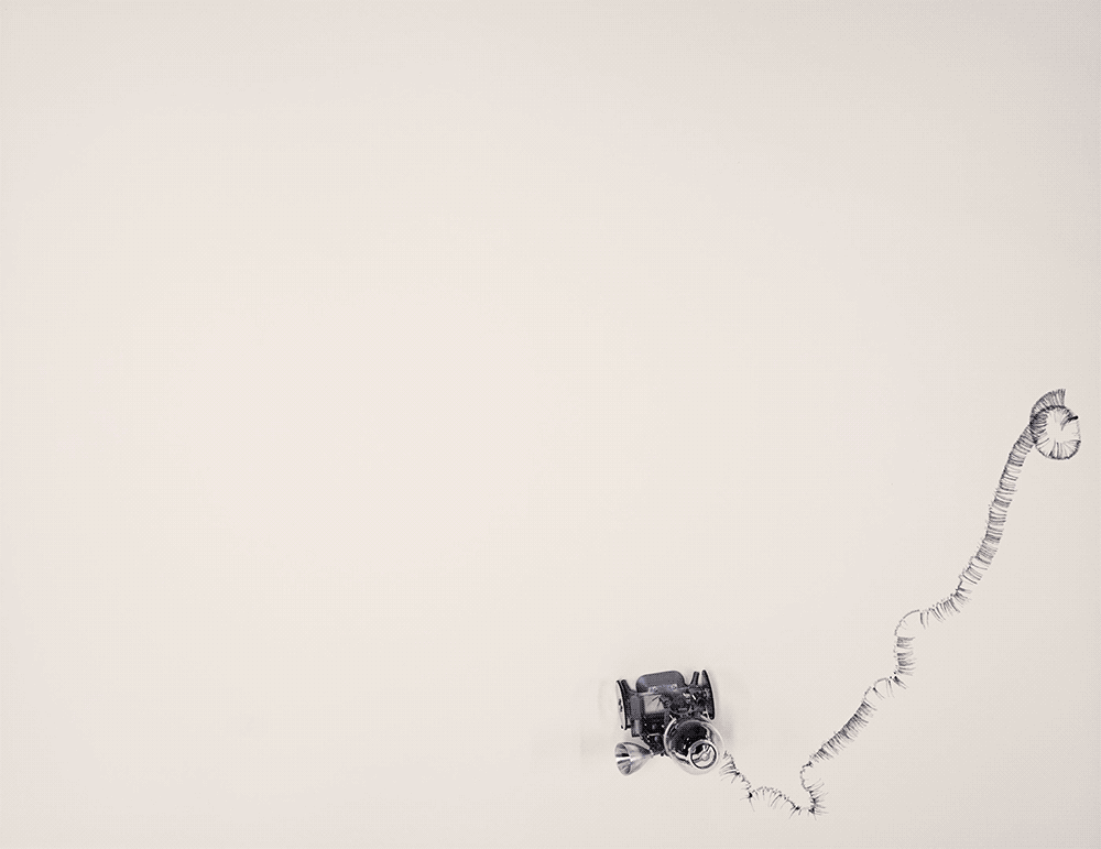 Sunjoo Lee Gif 140721 Perceptual 1000 All Frames