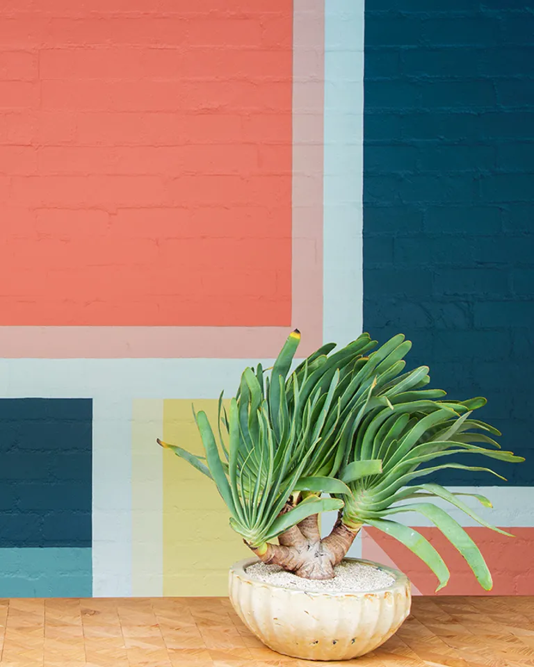 02 Img Right 037 DS Avalonbh