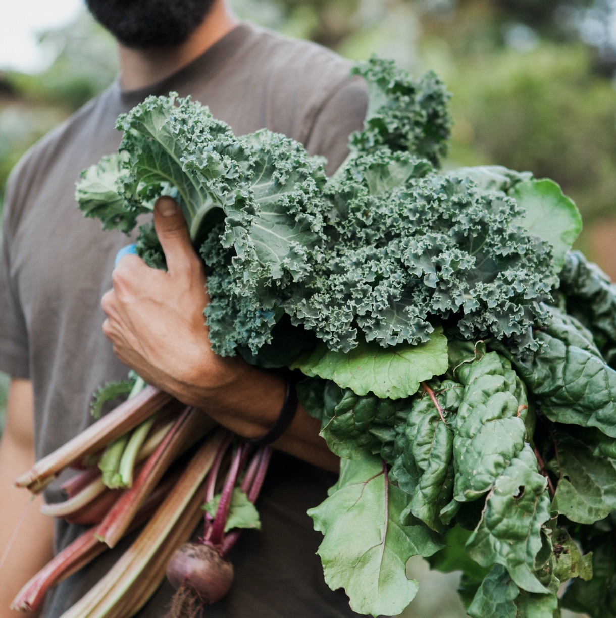 Concious Hotel Twelve Senses Retreat 02