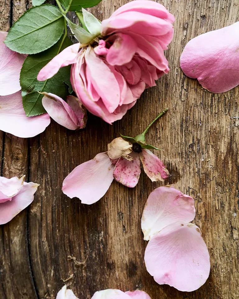 02 Bachmair Weissach