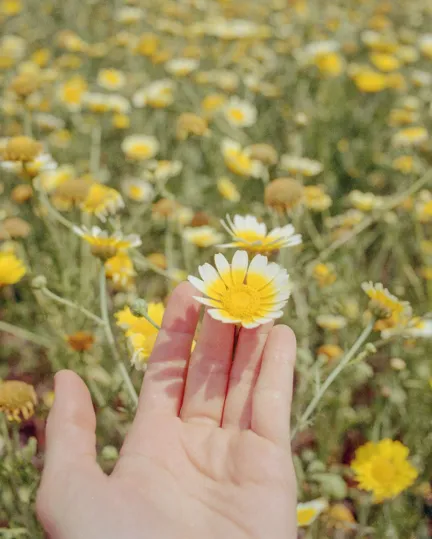 11 TGT Katie Mcknoulty