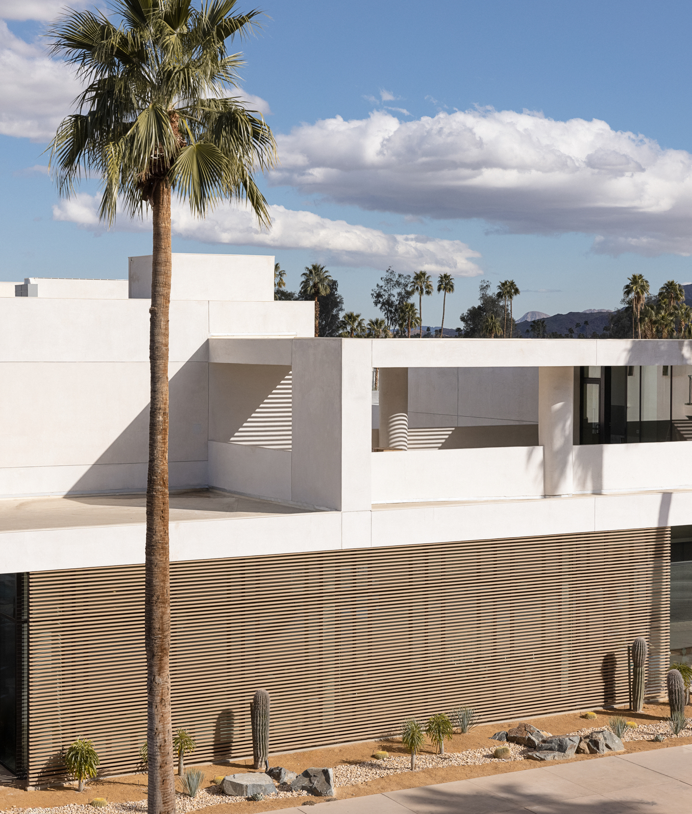 Drift Palm Springs Architecture (1)