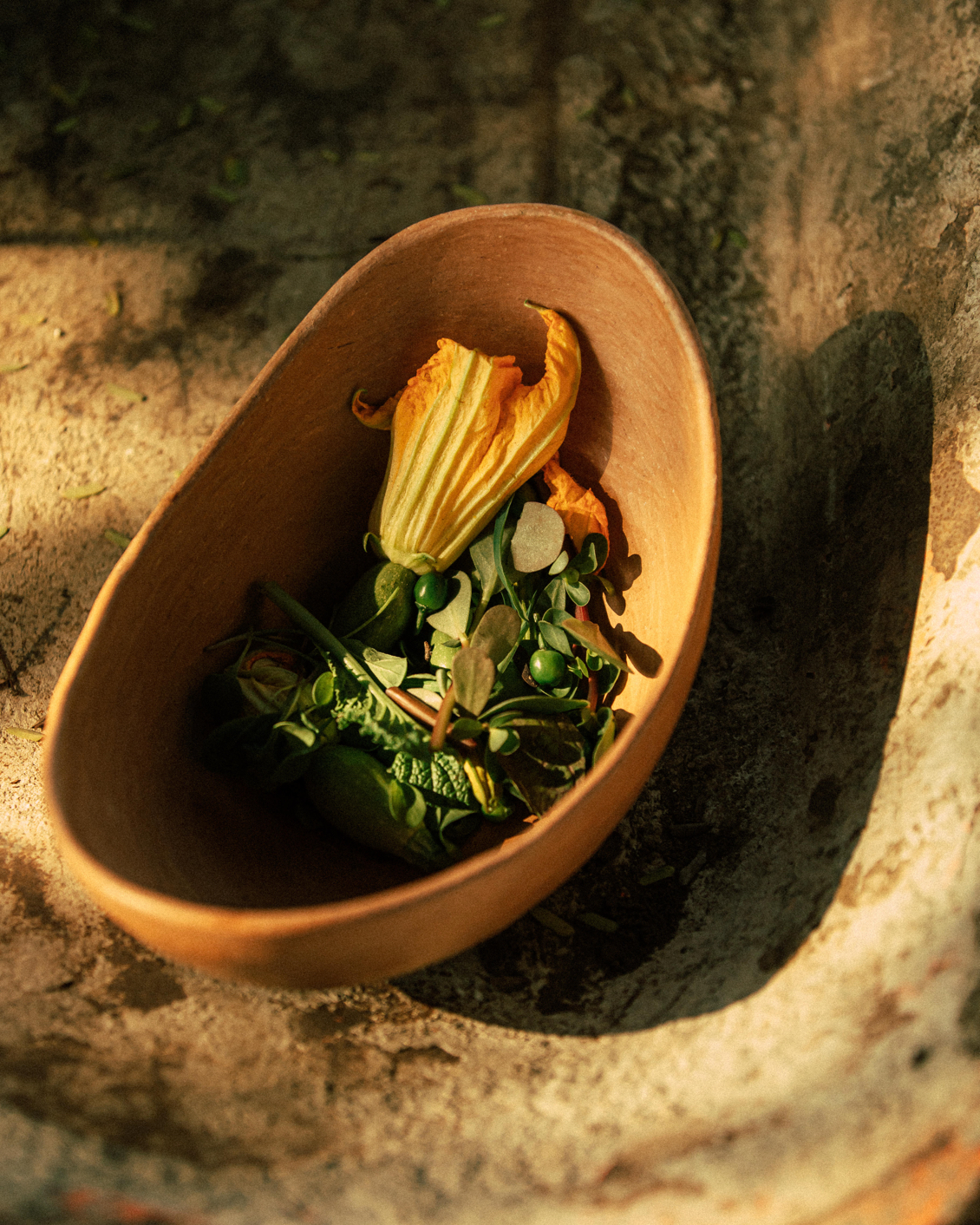 04:4.2 Hotelito Musa