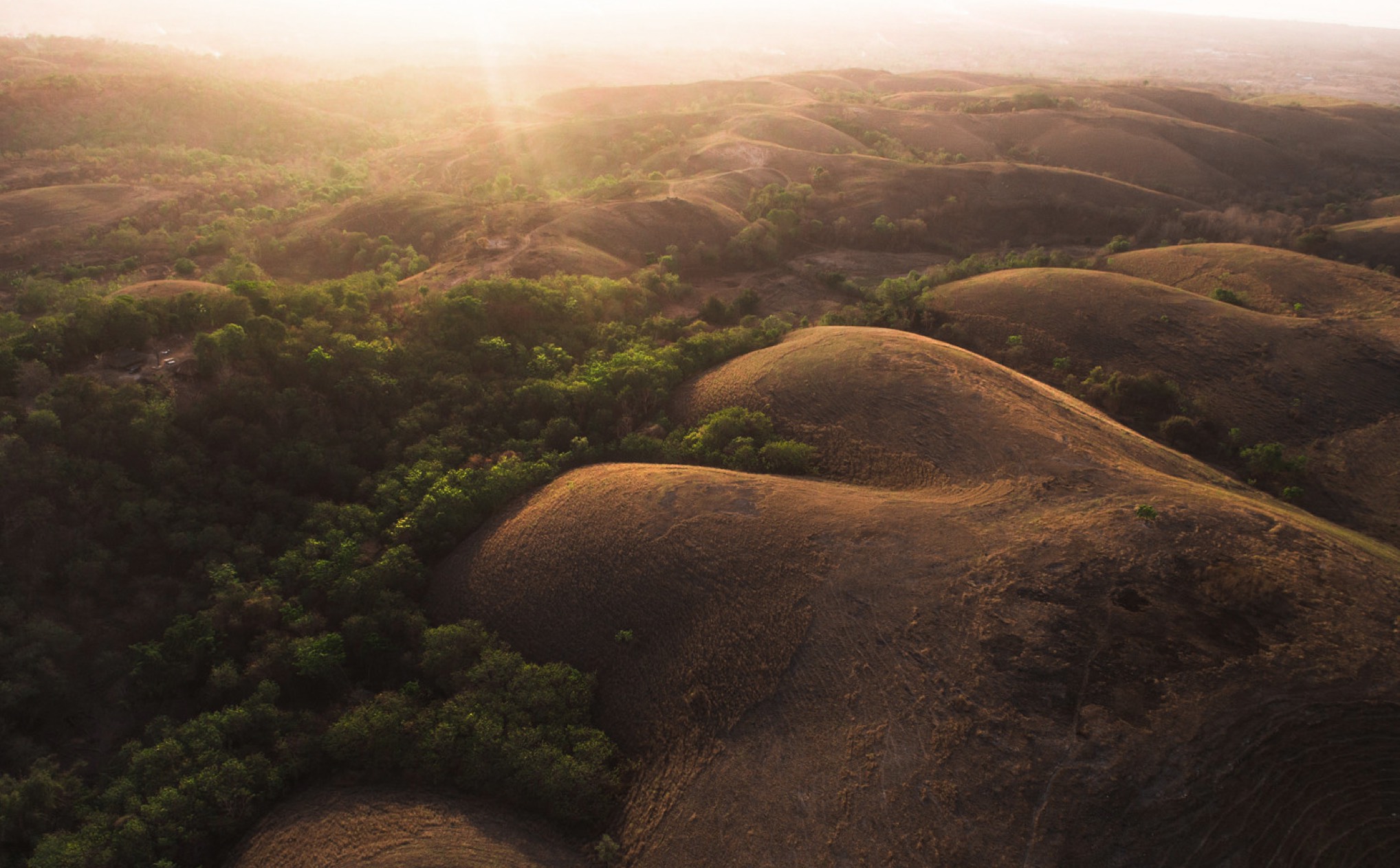 010 Cap Karoso Carousel 06