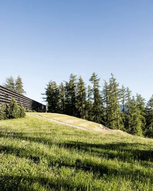 Sustainable Vigilius Mountain A