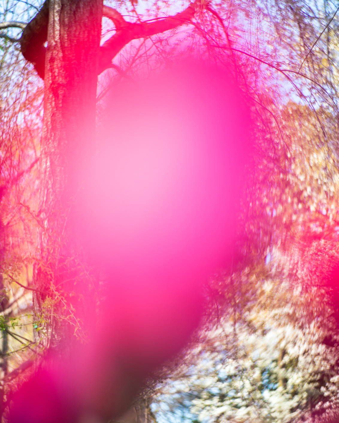 16 My Private Odyssey Yoshinori Mizutani