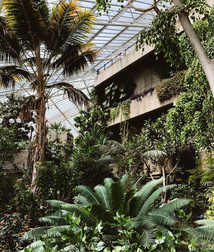 Destination Guide London