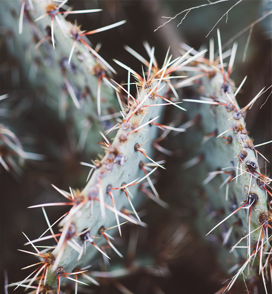 04 Further Marfa Borderlands Left