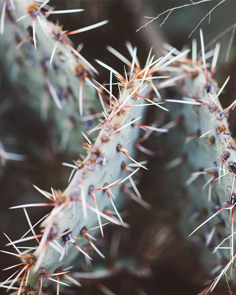 04 Further Marfa Borderlands Left