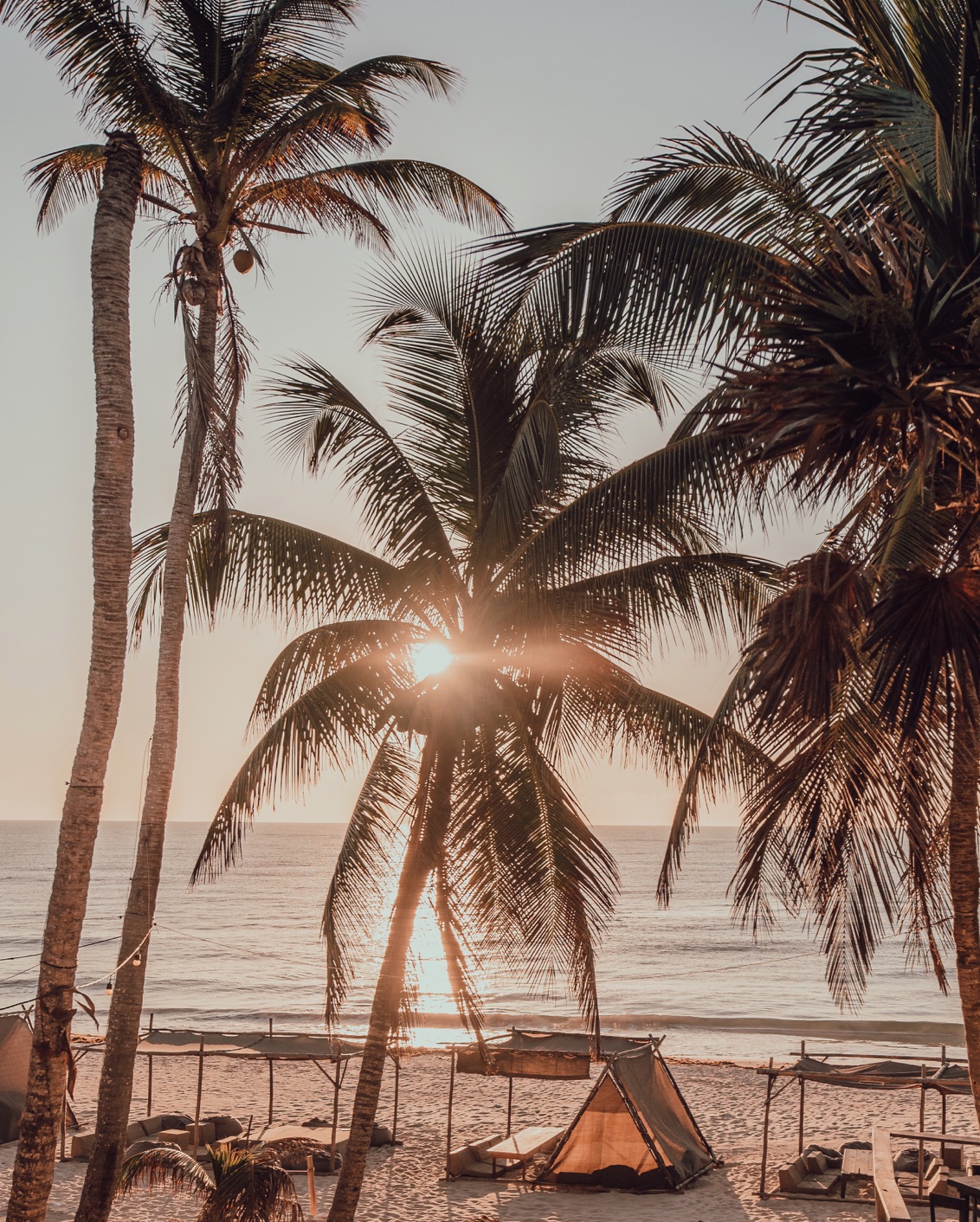 DH Ancient Rituals Bp 13