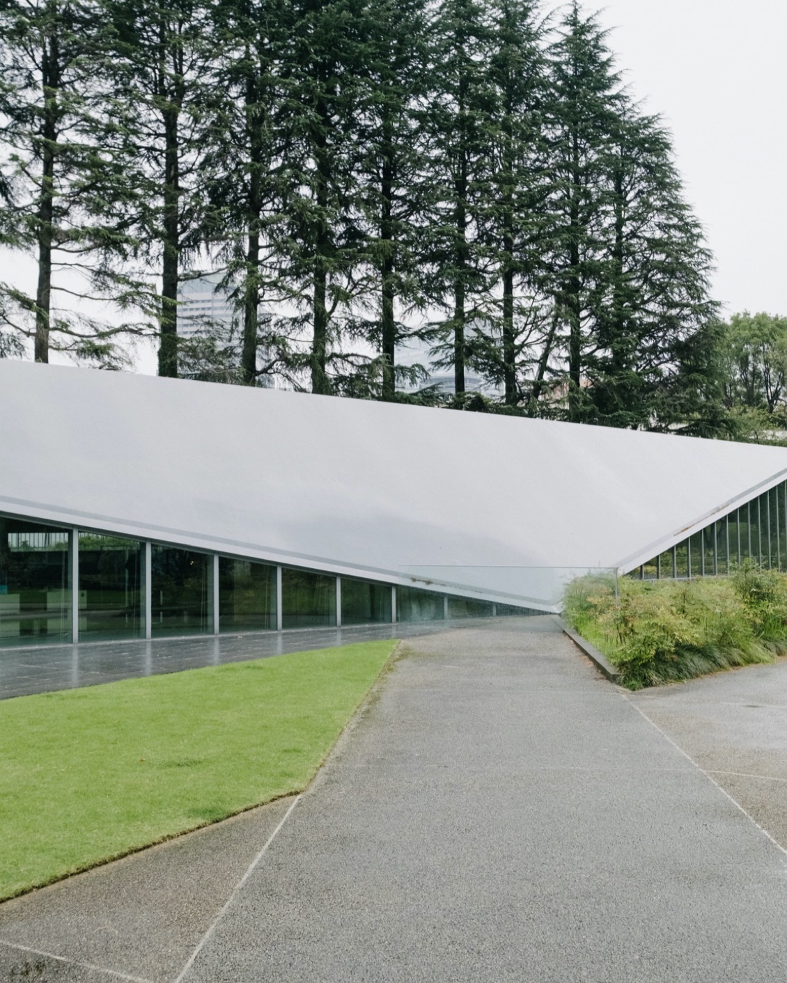 DH Japan Bullet Train 03 B