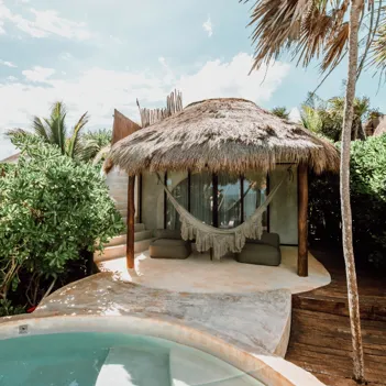 Papaya Playa Project Usp 01