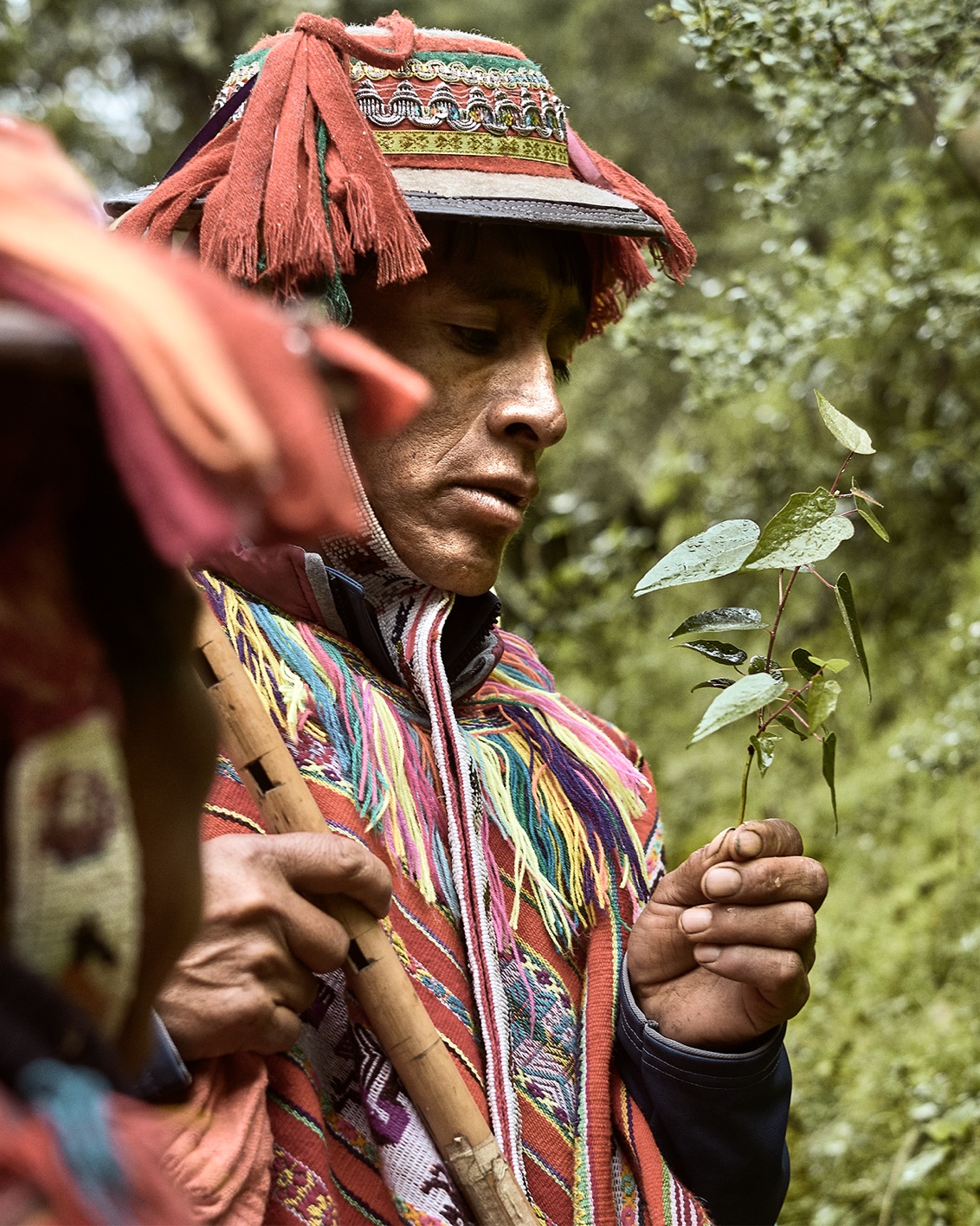 Pachamama's Land Part II 007