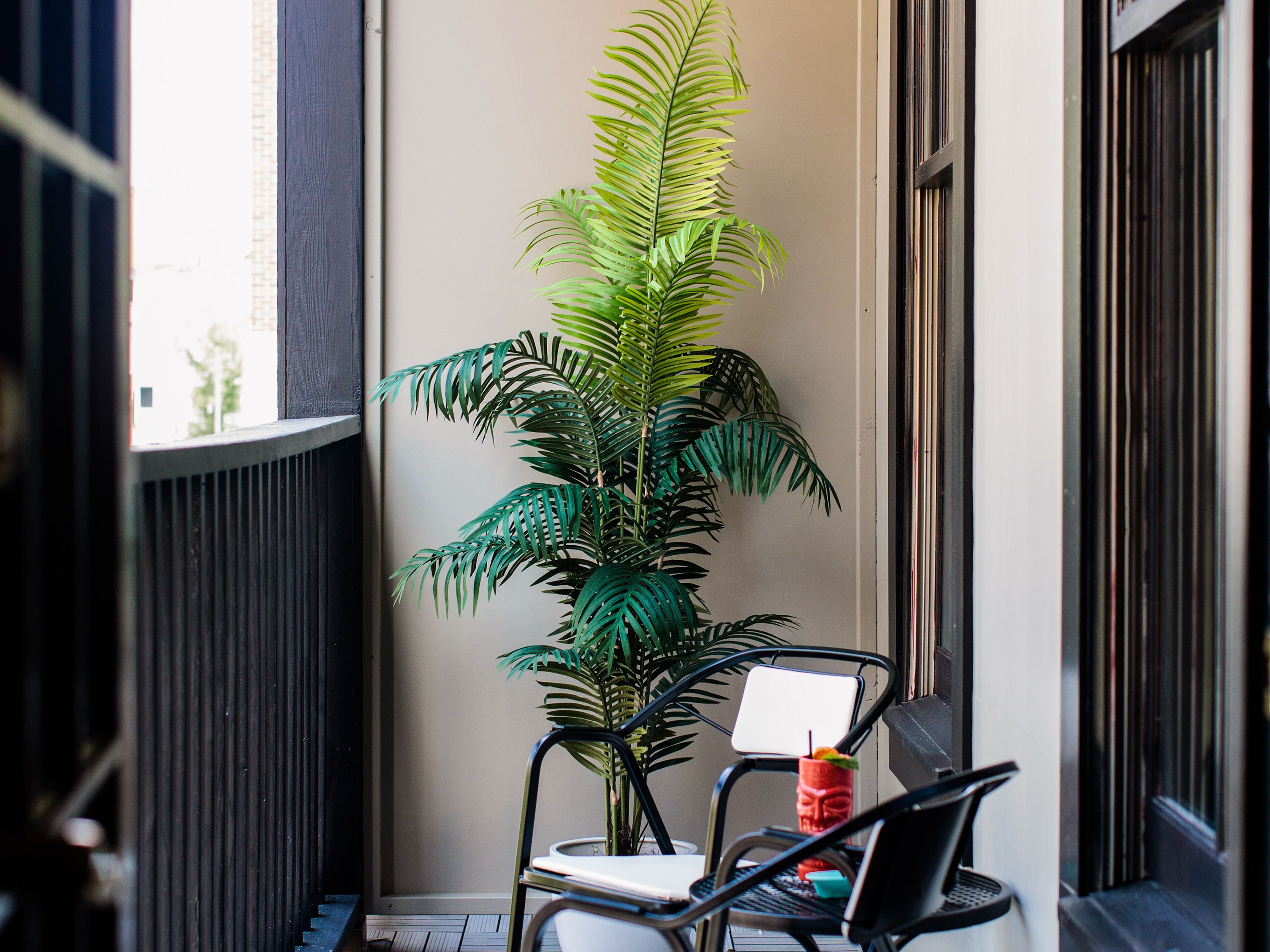 The Dwell Tree in Chattanooga