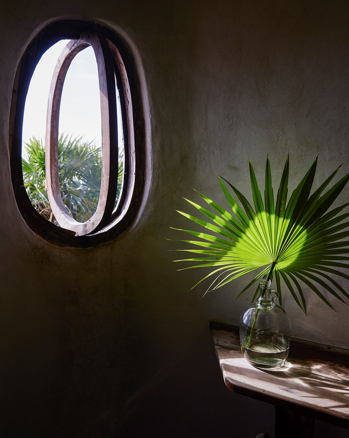 Papaya Playa Project