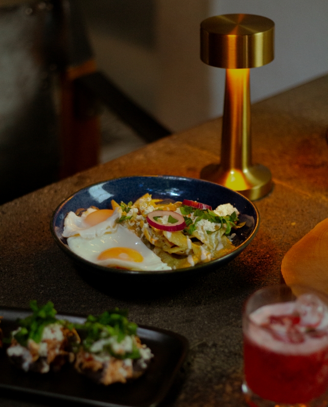 Elena De Cobre Usp 2