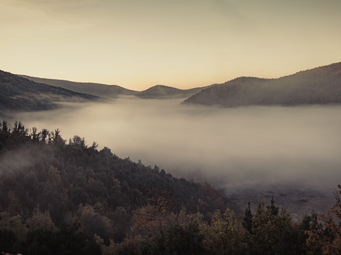 02 Culture Blogpost Fall Foliage