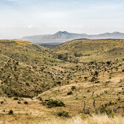 Concious Hotel Tribe 02